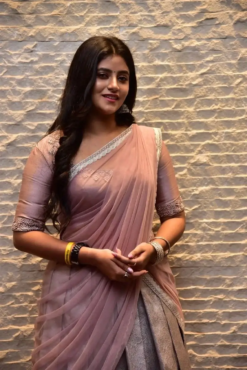 TELUGU ACTRESS SANCHITA BASHU IN PINK SAREE 2